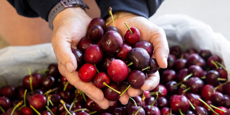 Cherries: The Perfect Summer Superfood for Your Health and Well-being