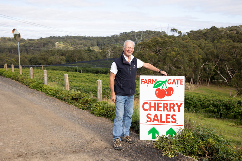 Celebrating 10 Sweet Years